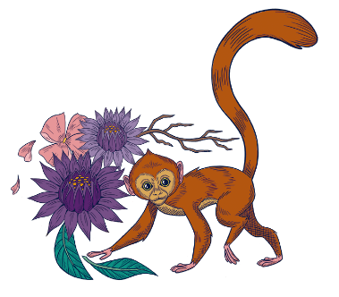 monkey