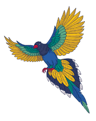pajaro